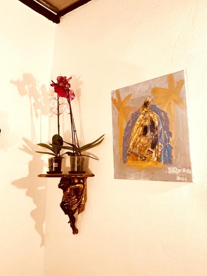 Appartement Casa les bambous à Nîmes Extérieur photo