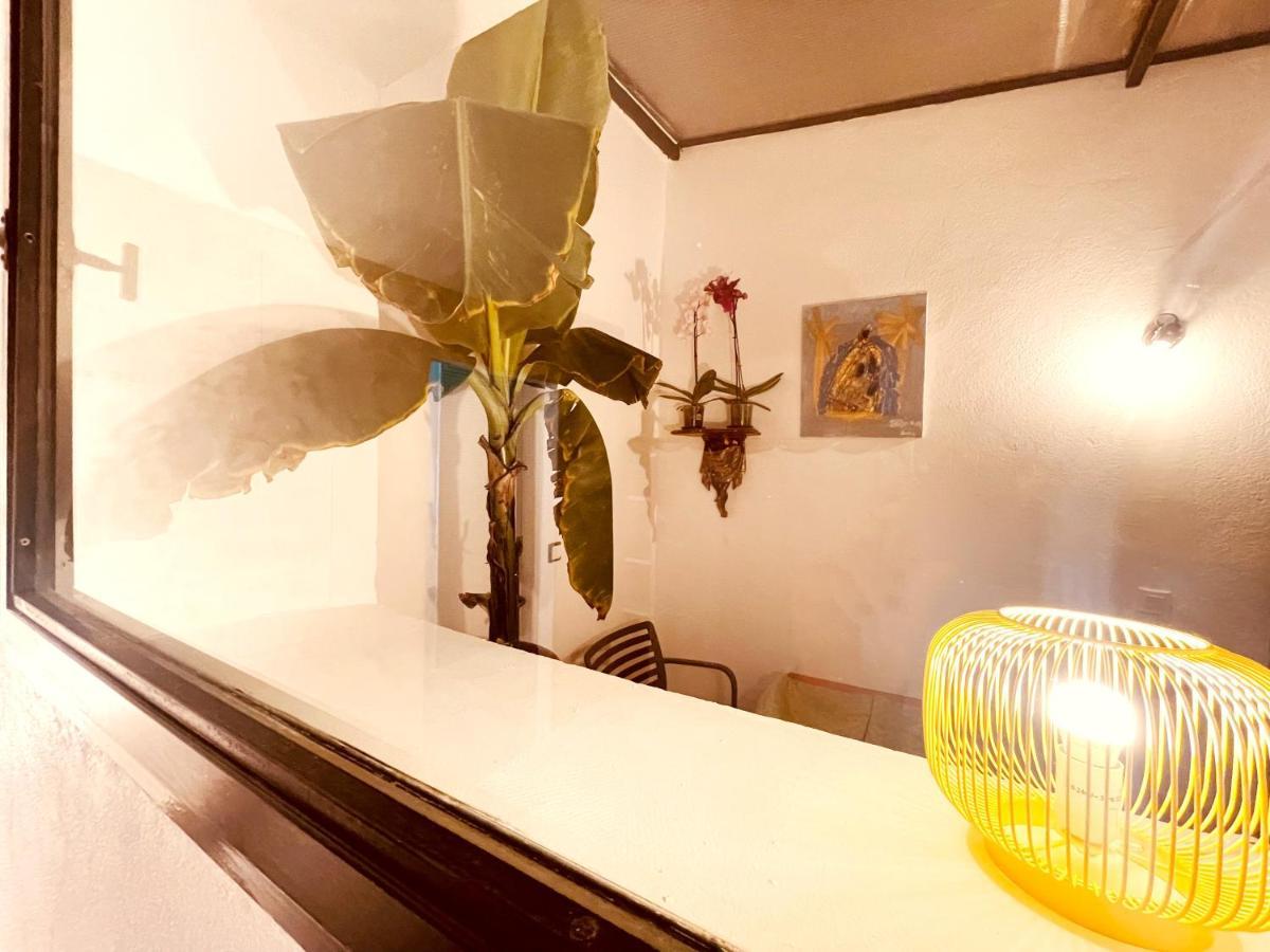 Appartement Casa les bambous à Nîmes Extérieur photo